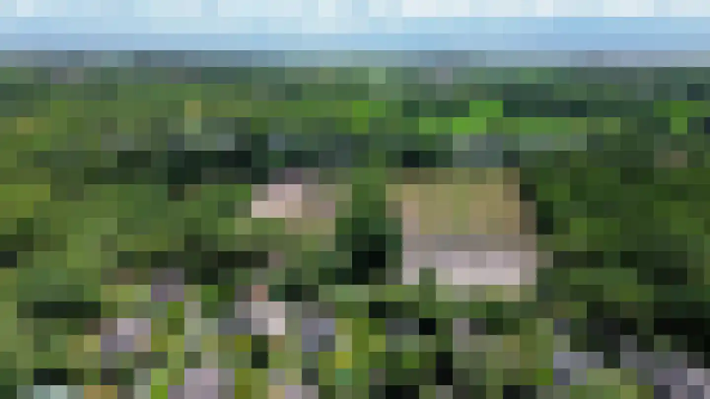 De Toekomst 2 Ouddorp thumbnail 33
