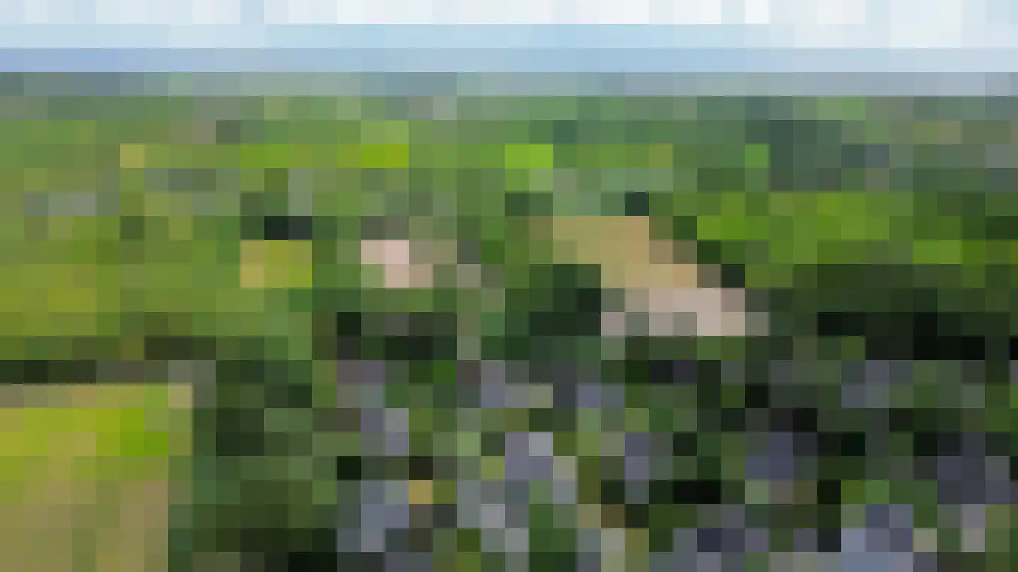 De Toekomst 2 Ouddorp thumbnail 34