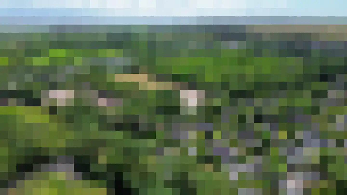 De Toekomst 2 Ouddorp thumbnail 36