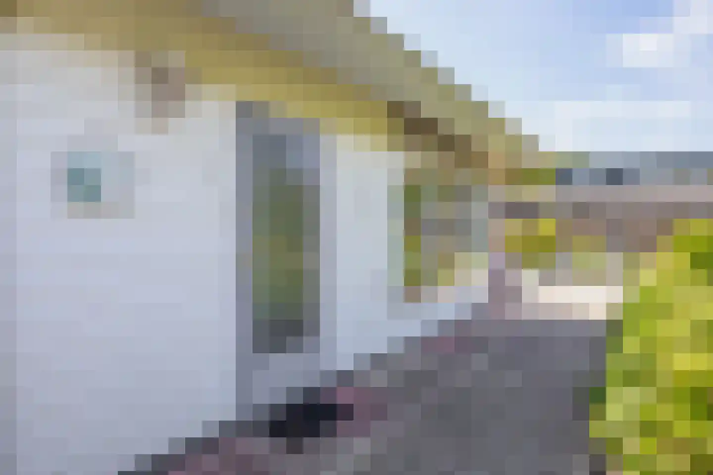 De Toekomst 2 Ouddorp thumbnail 5