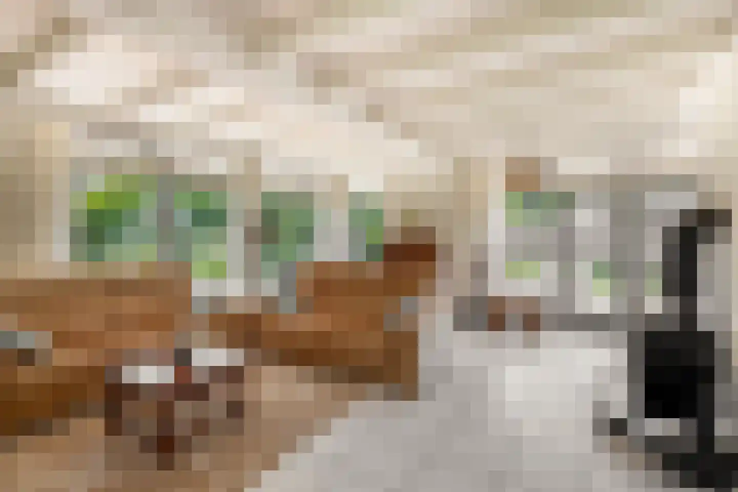 De Toekomst 2 Ouddorp thumbnail 9