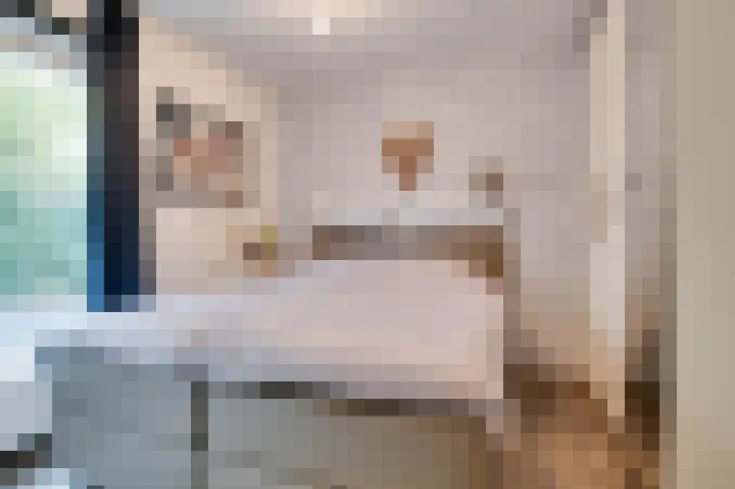 De Toekomst 36 Ouddorp thumbnail 13