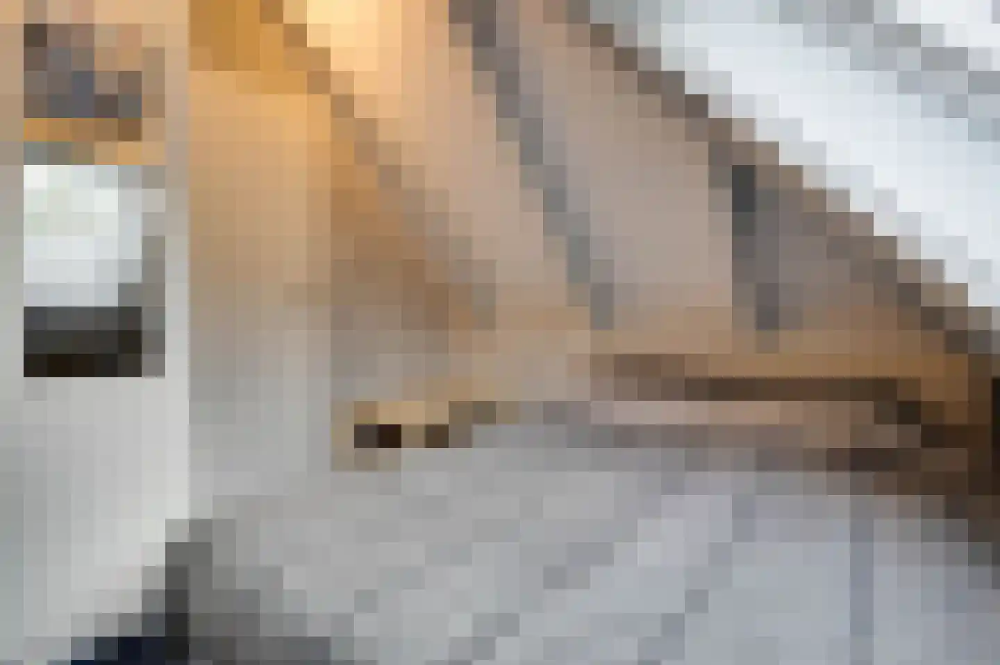 De Toekomst 36 Ouddorp thumbnail 19