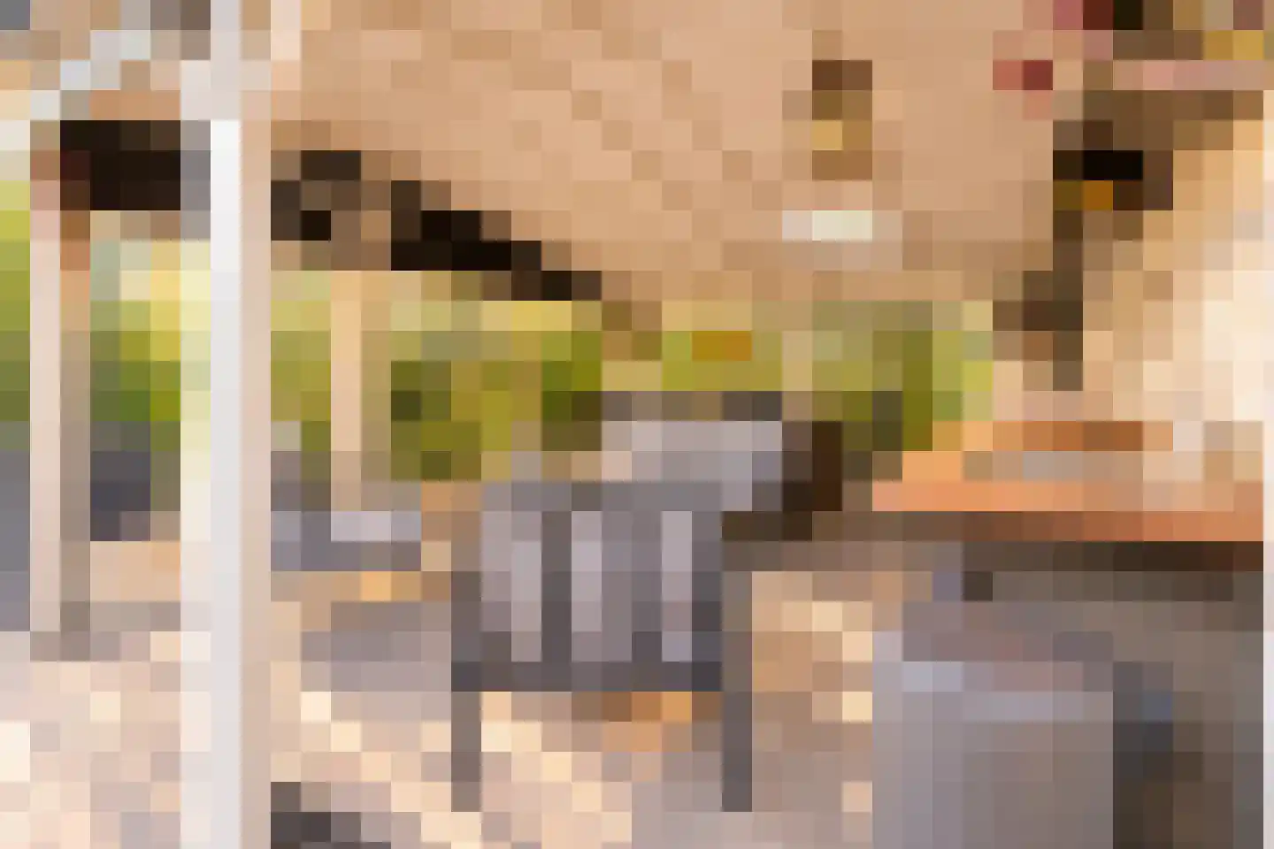 De Toekomst 36 Ouddorp thumbnail 25