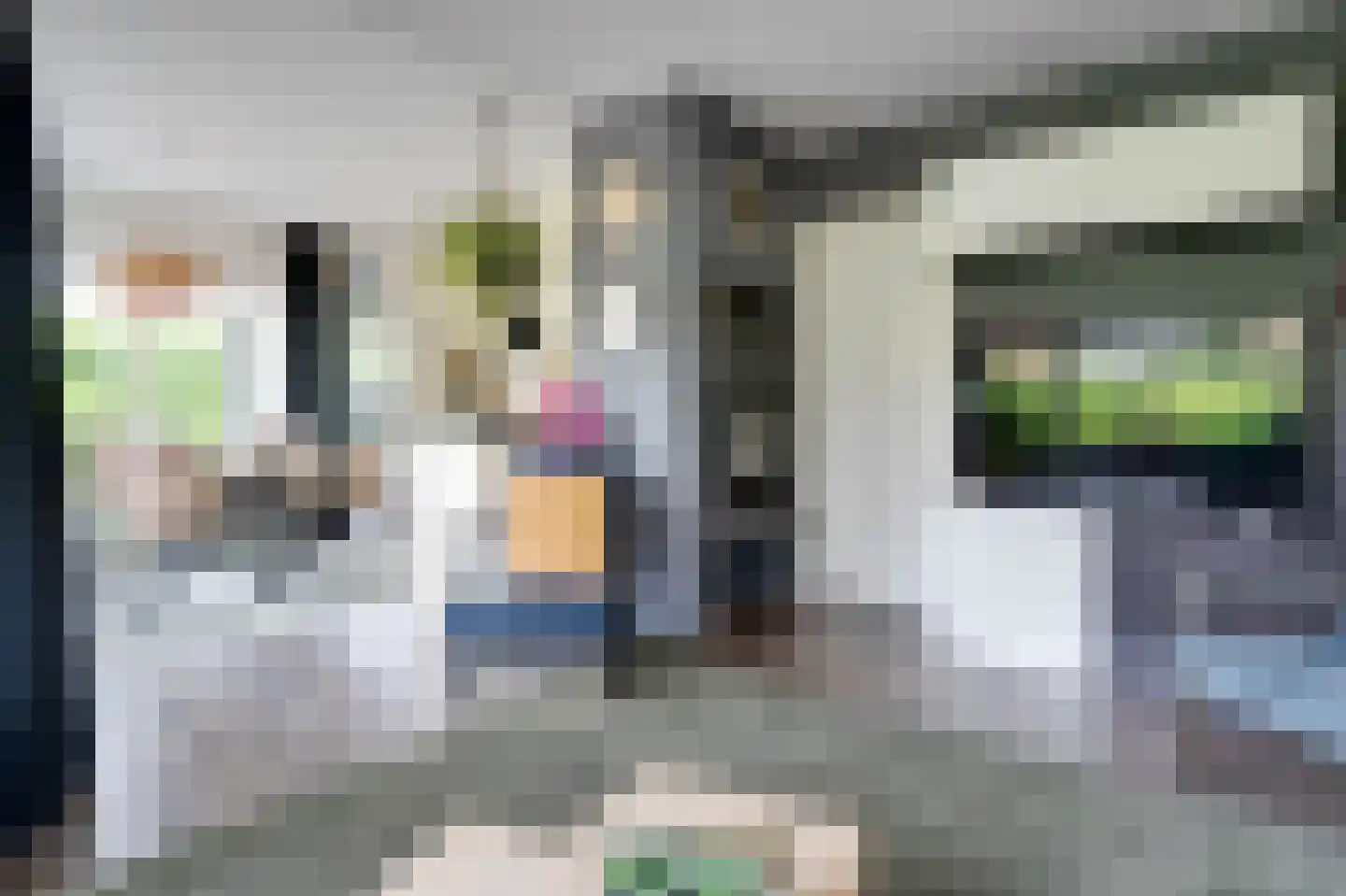 De Toekomst 36 Ouddorp thumbnail 4
