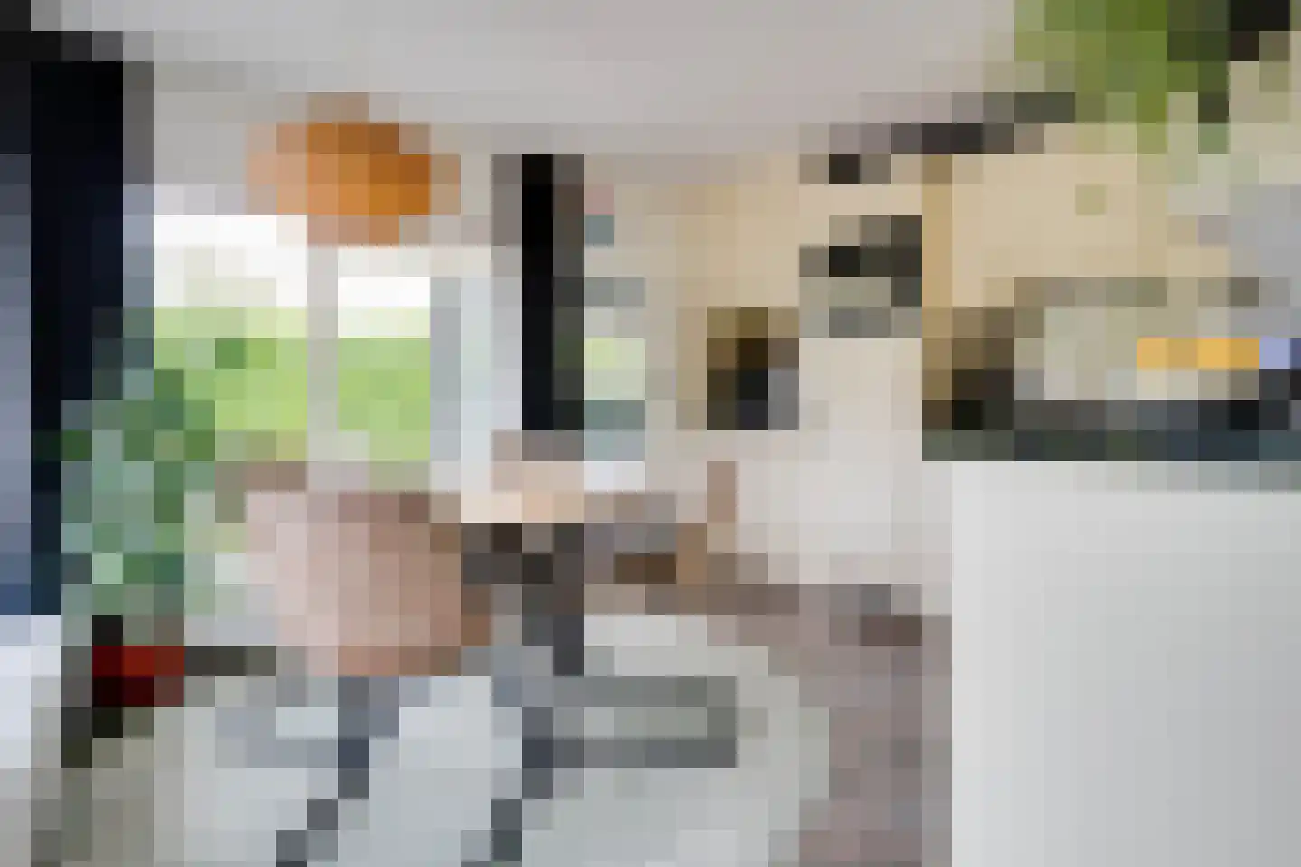 De Toekomst 36 Ouddorp thumbnail 5