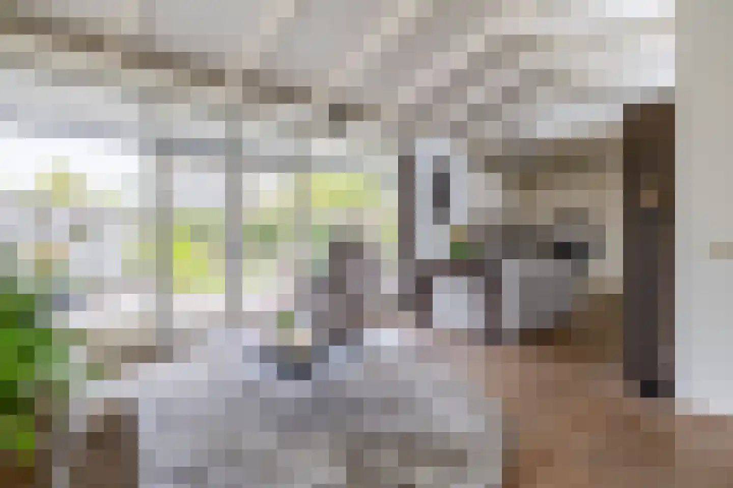 De Toekomst 41 Ouddorp thumbnail 11