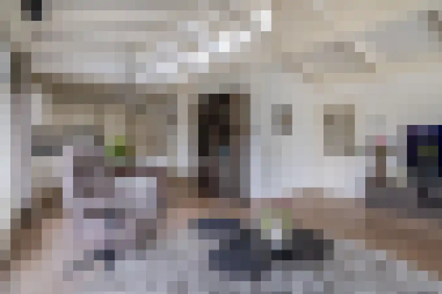 De Toekomst 41 Ouddorp thumbnail 13