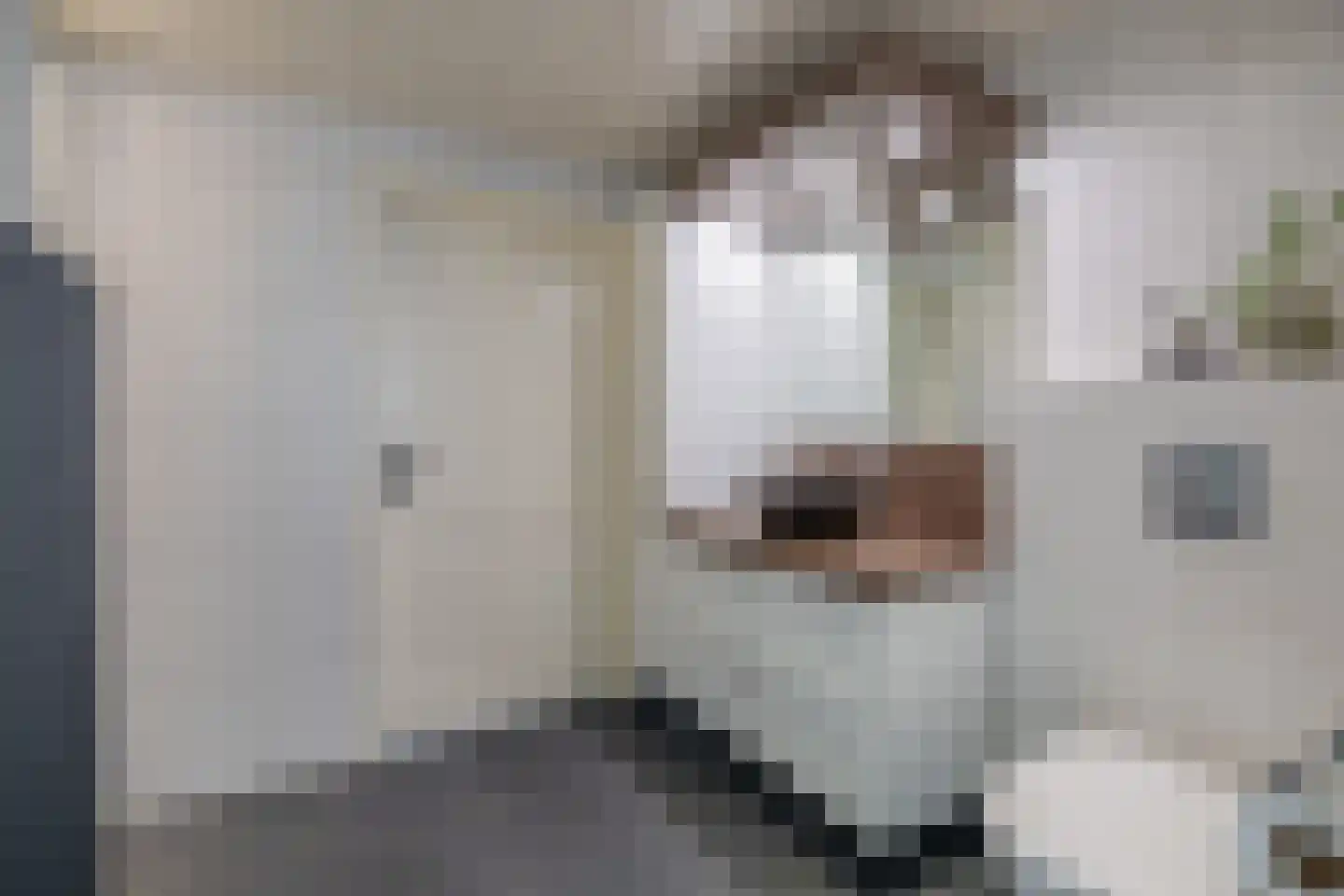 De Toekomst 41 Ouddorp thumbnail 27