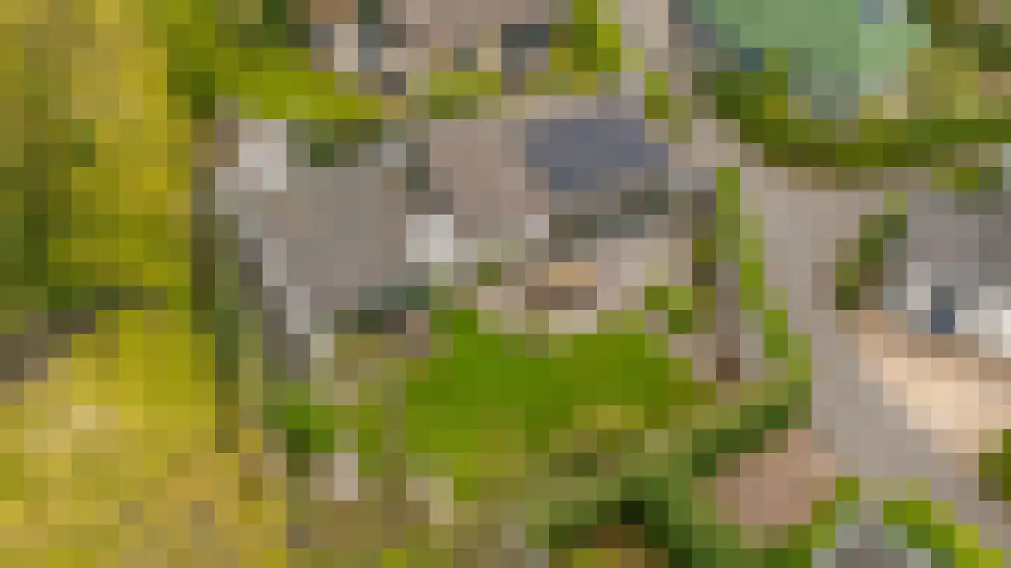 De Toekomst 41 Ouddorp thumbnail 40