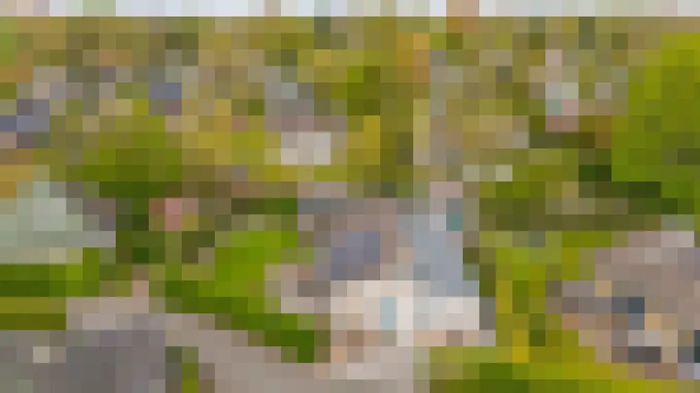 De Toekomst 41 Ouddorp thumbnail 41