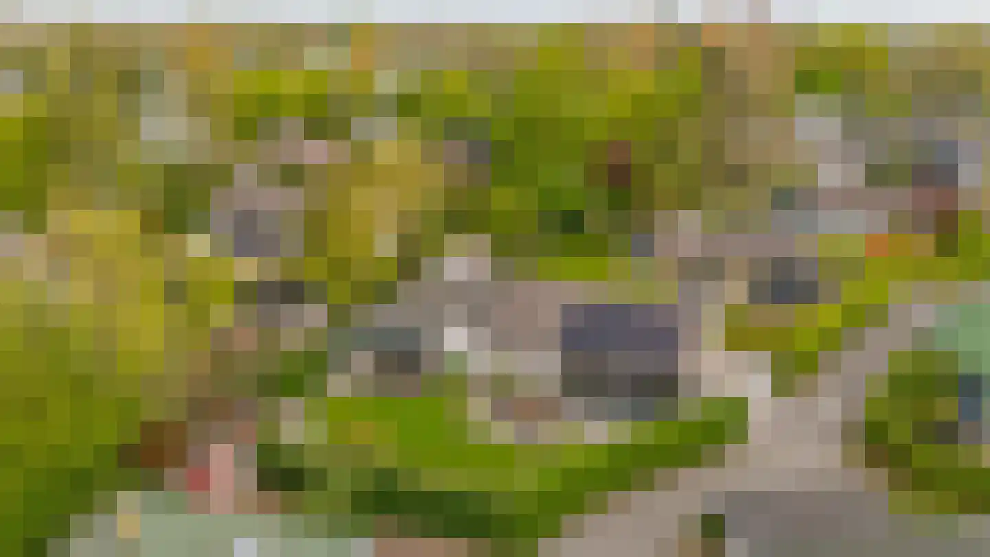 De Toekomst 41 Ouddorp thumbnail 43