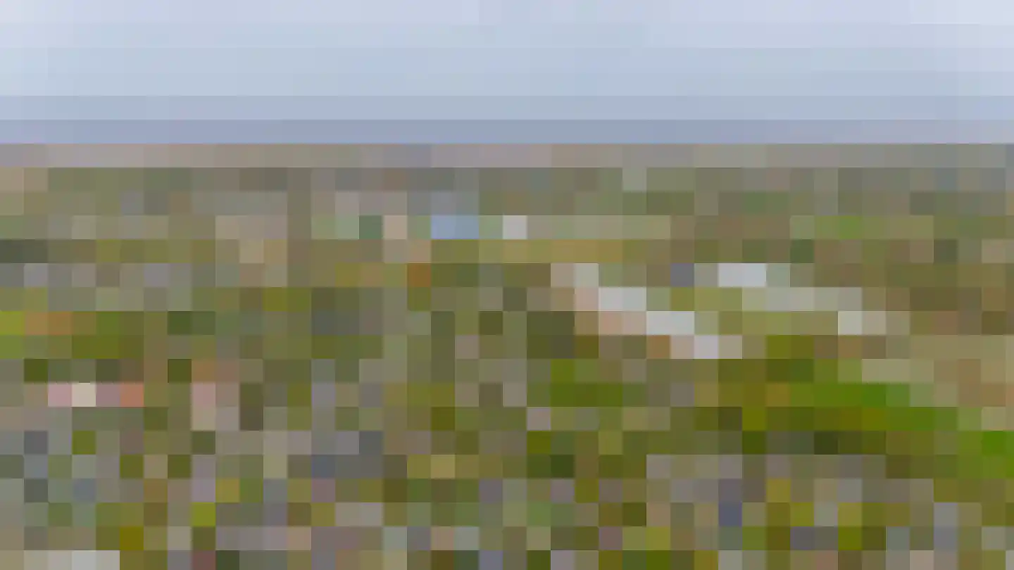 De Toekomst 41 Ouddorp thumbnail 44