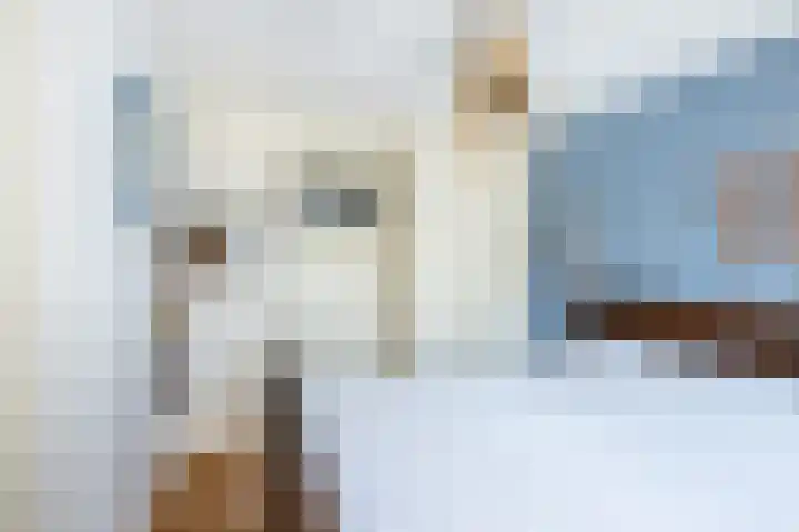 De Toekomst 55 Ouddorp thumbnail 15