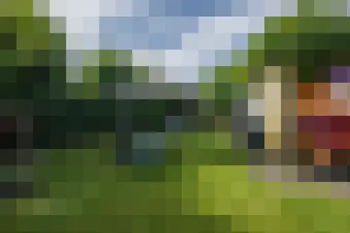 De Toekomst 55 Ouddorp thumbnail 27