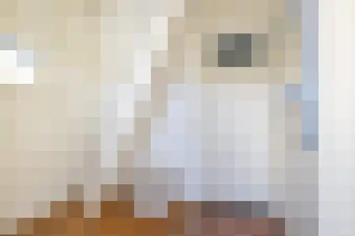 De Toekomst 55 Ouddorp thumbnail 6