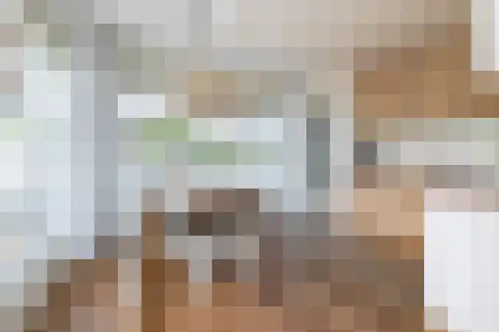 De Toekomst 55 Ouddorp thumbnail 8