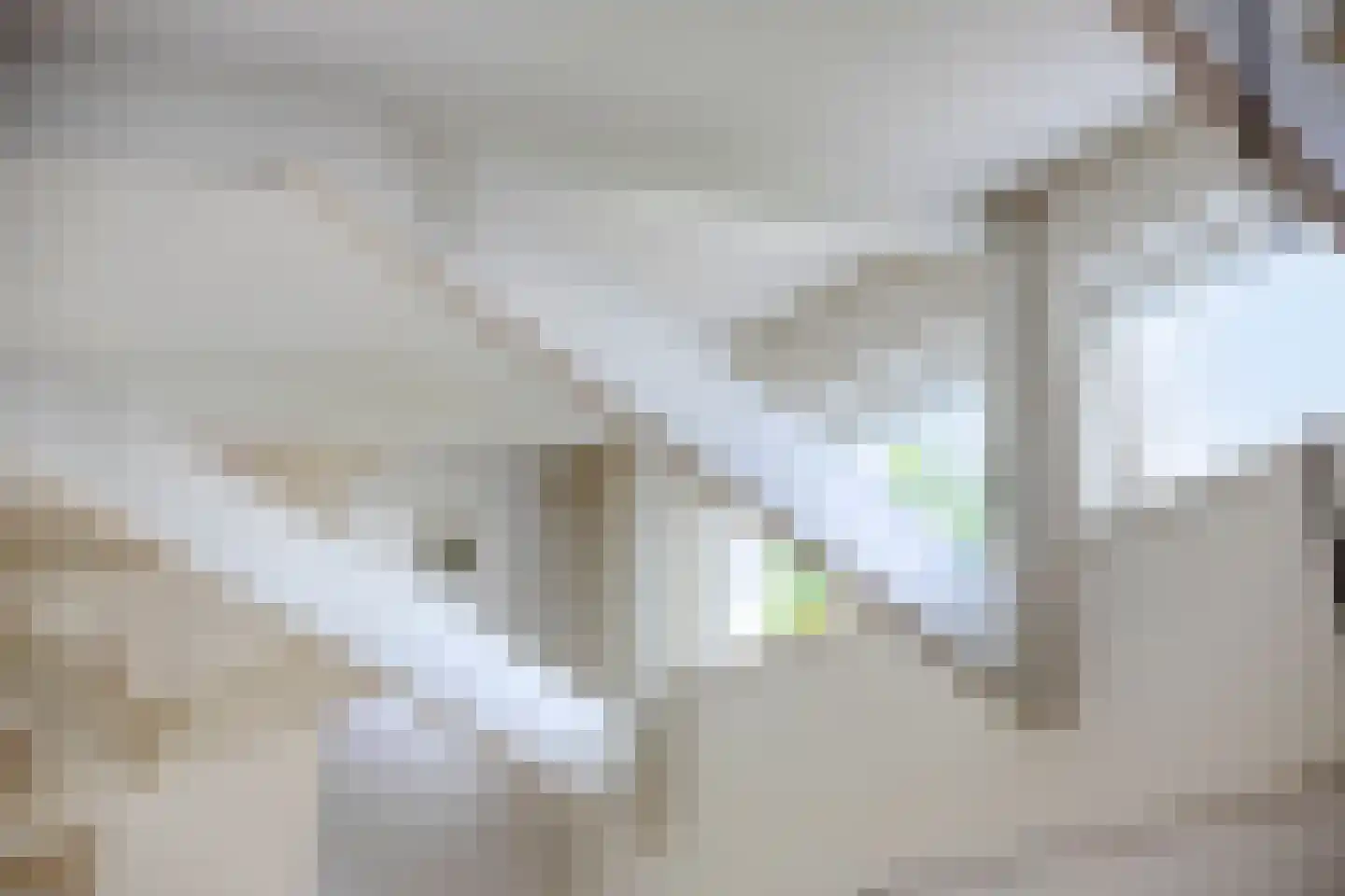 De Toekomst 76 Ouddorp thumbnail 10
