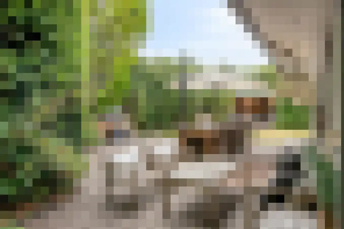 De Toekomst 76 Ouddorp thumbnail 26