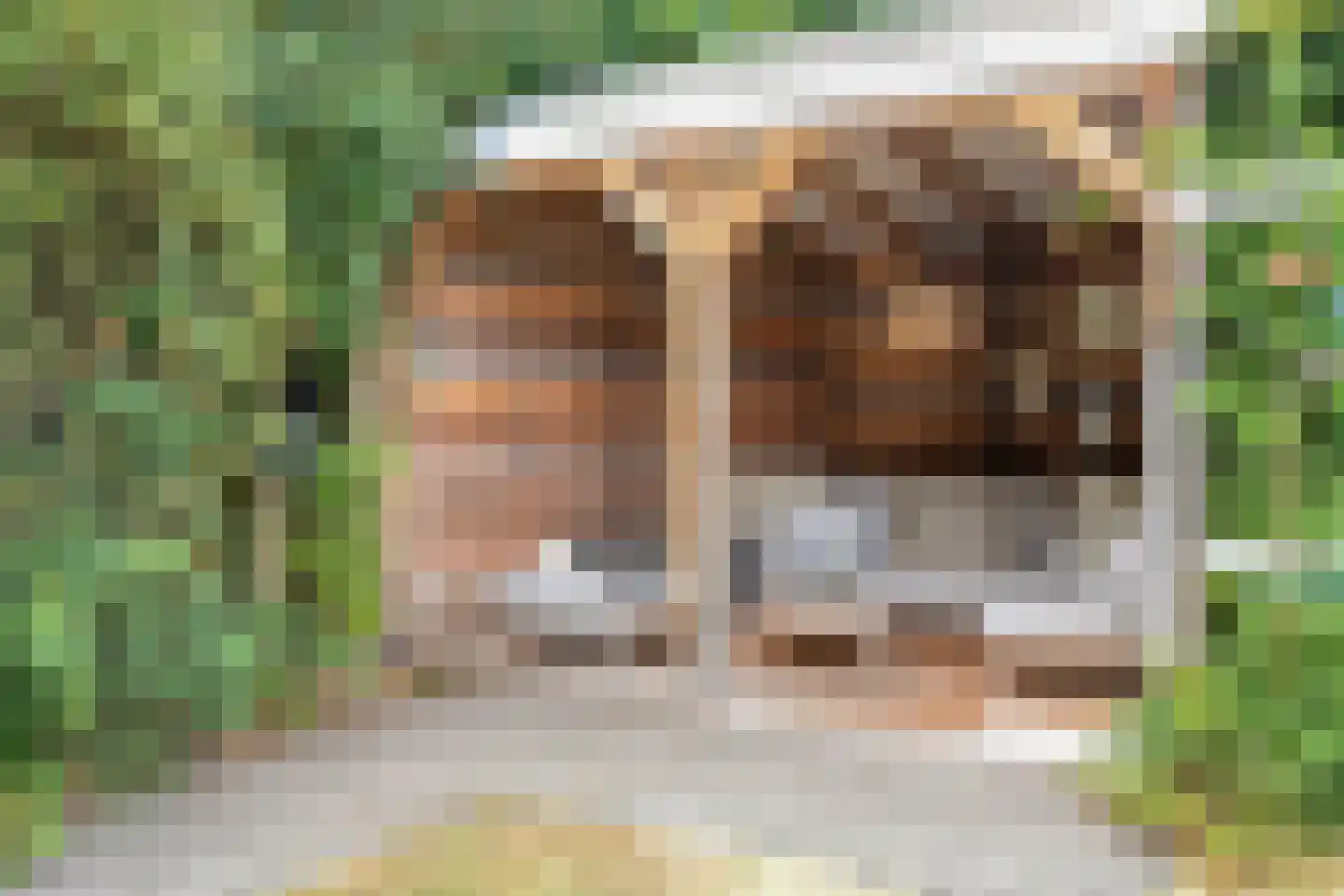 De Toekomst 76 Ouddorp thumbnail 29