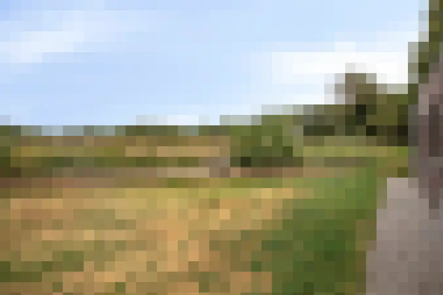 De Toekomst 76 Ouddorp thumbnail 33