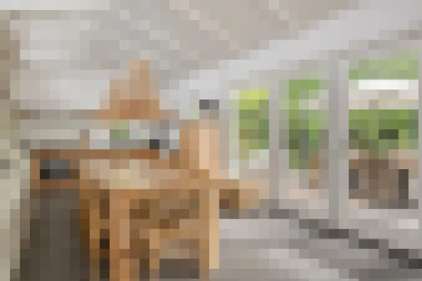 De Toekomst 76 Ouddorp thumbnail 7