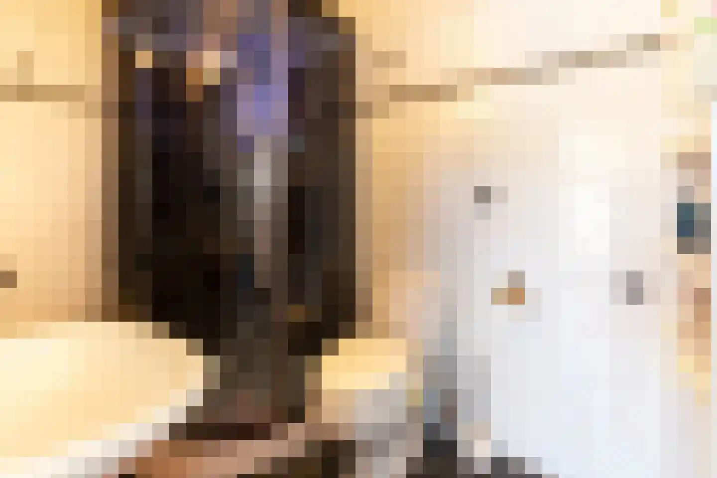 De Toekomst 82 Ouddorp thumbnail 18