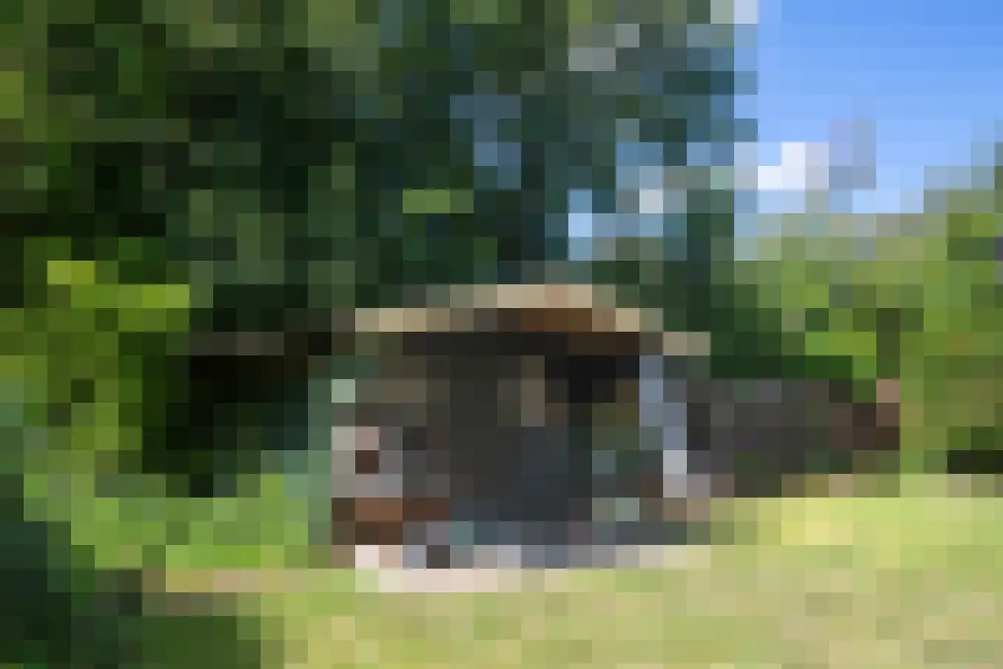 De Toekomst 82 Ouddorp thumbnail 28