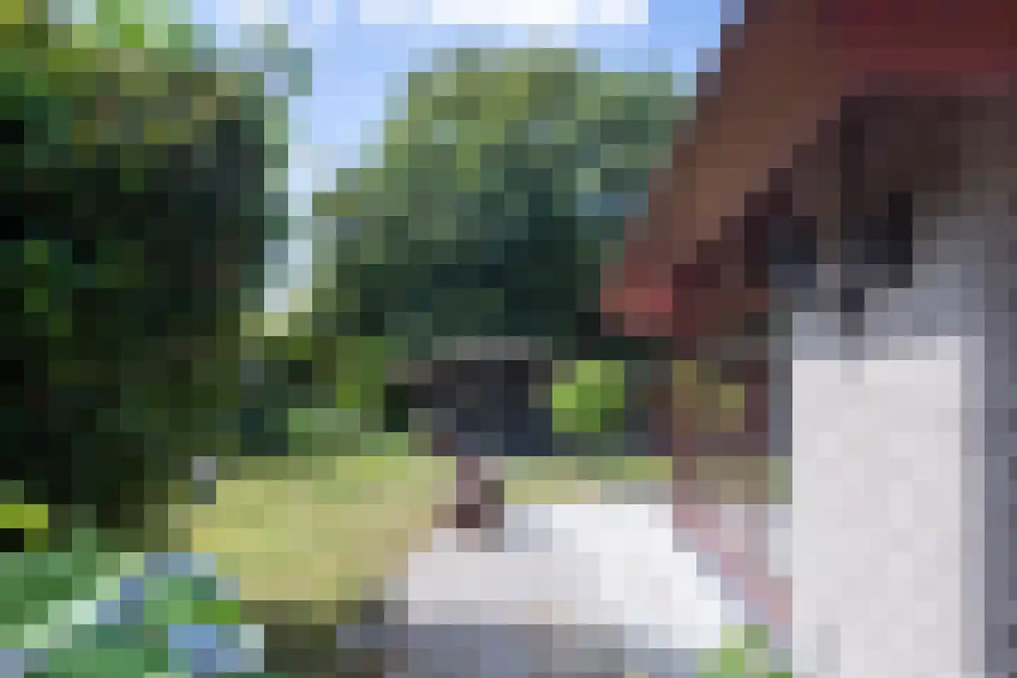 De Toekomst 82 Ouddorp thumbnail 30
