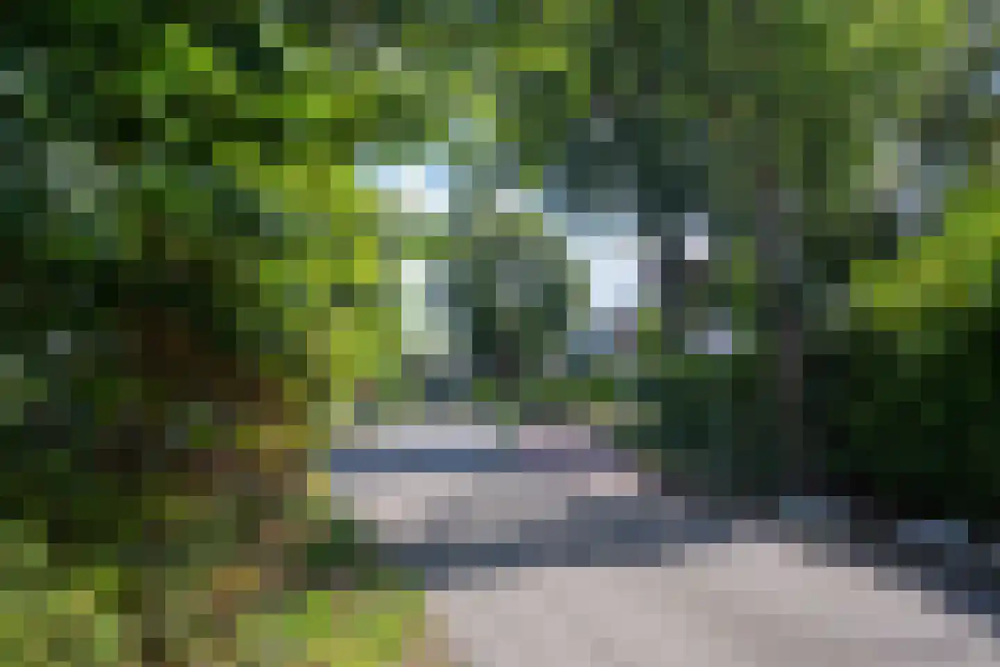 De Toekomst 82 Ouddorp thumbnail 32