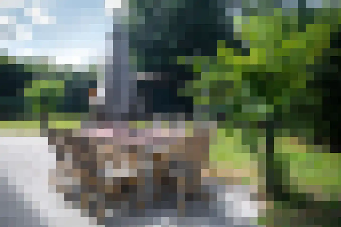 De Toekomst 82 Ouddorp thumbnail 5