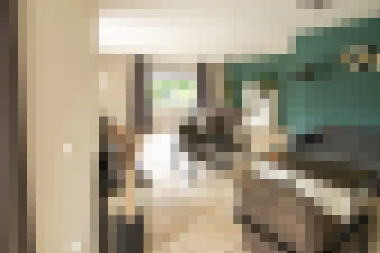 De Toer 8 Hommerts thumbnail 15