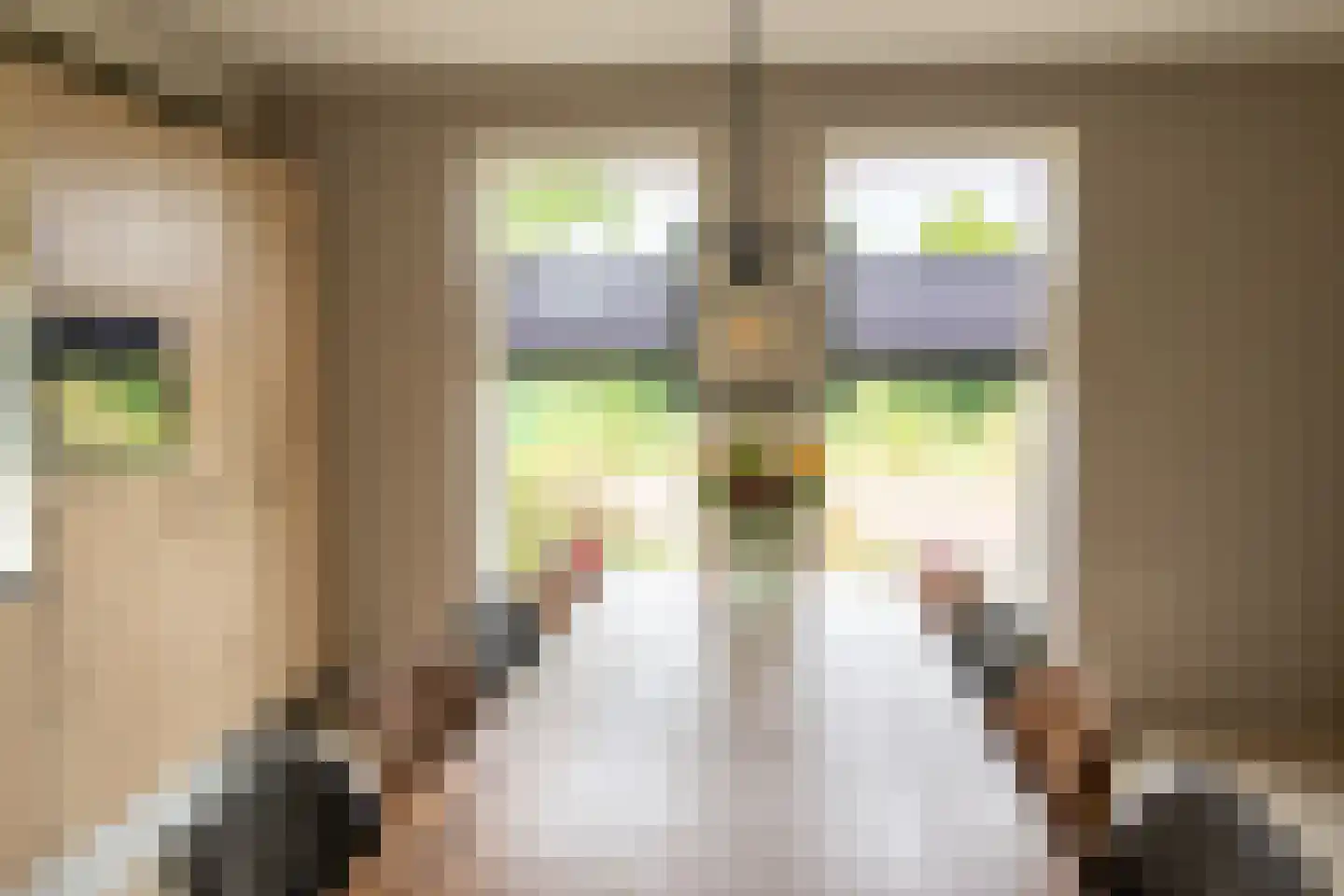 De Toer 8 Hommerts thumbnail 20