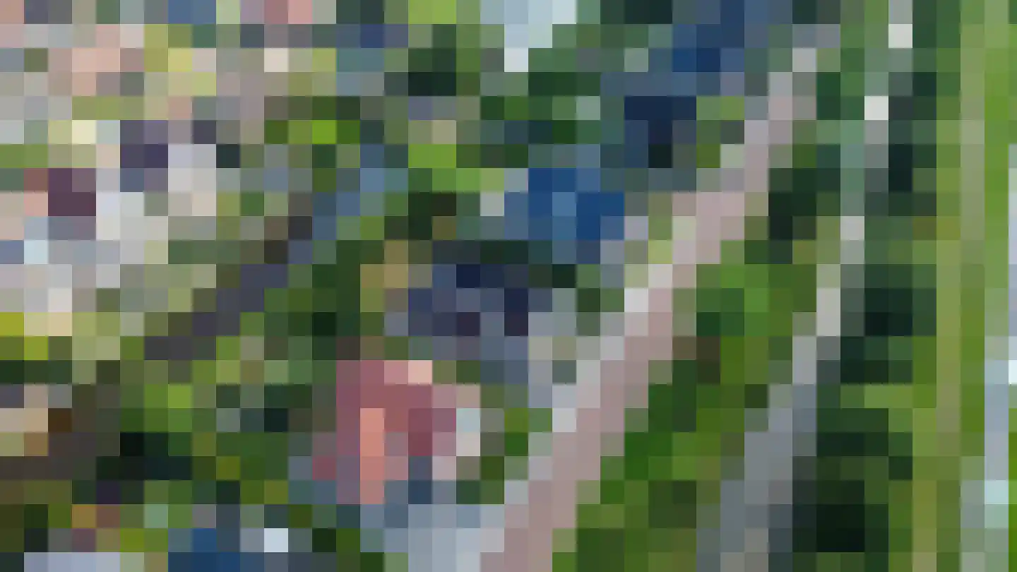 De Toer 8 Hommerts thumbnail 5
