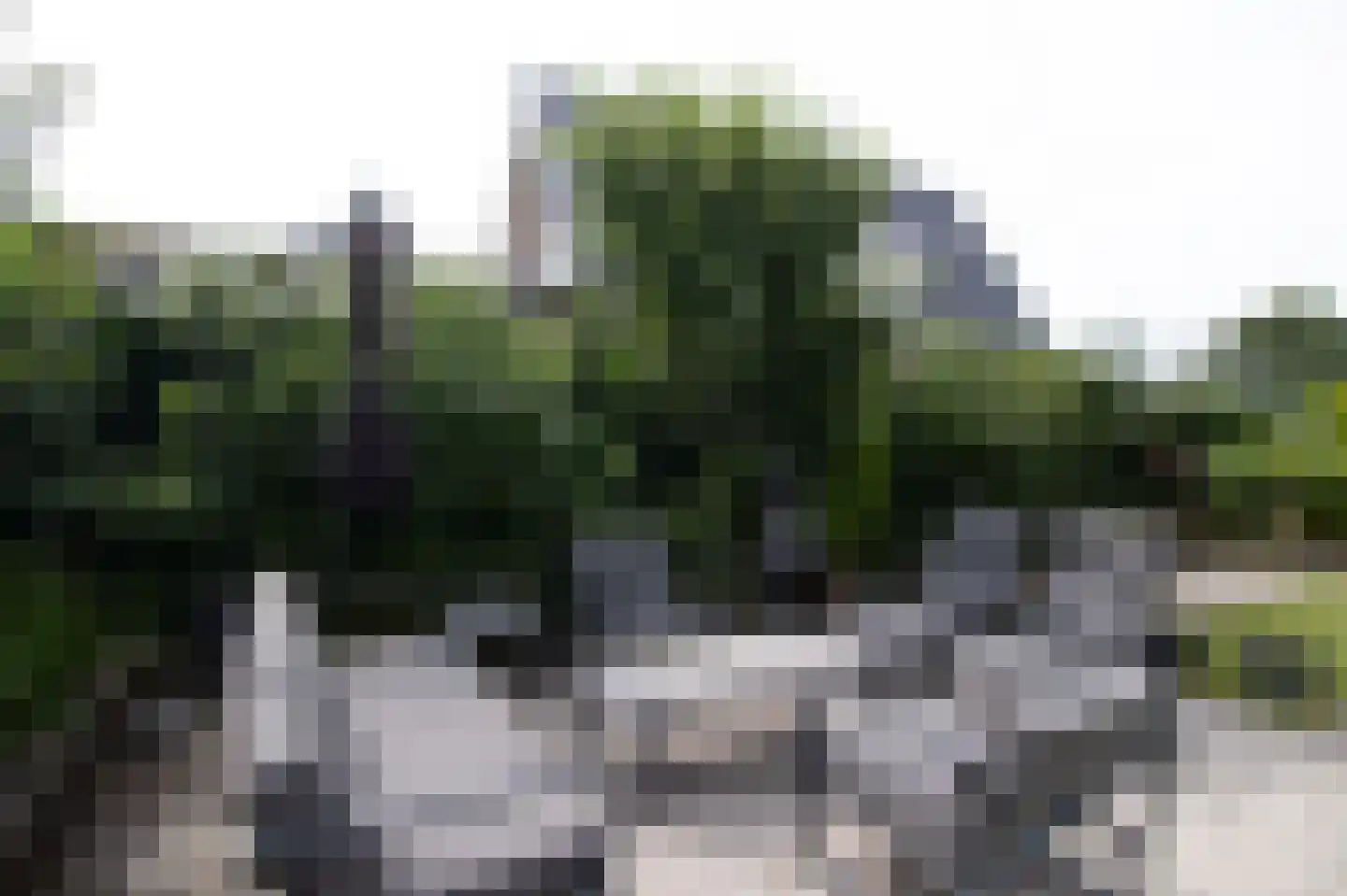 De Toer 8 Hommerts thumbnail 9