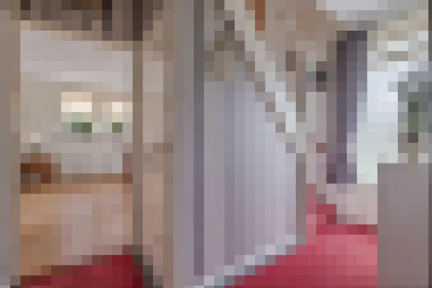 De Toeslag 12 Schoonebeek thumbnail 16
