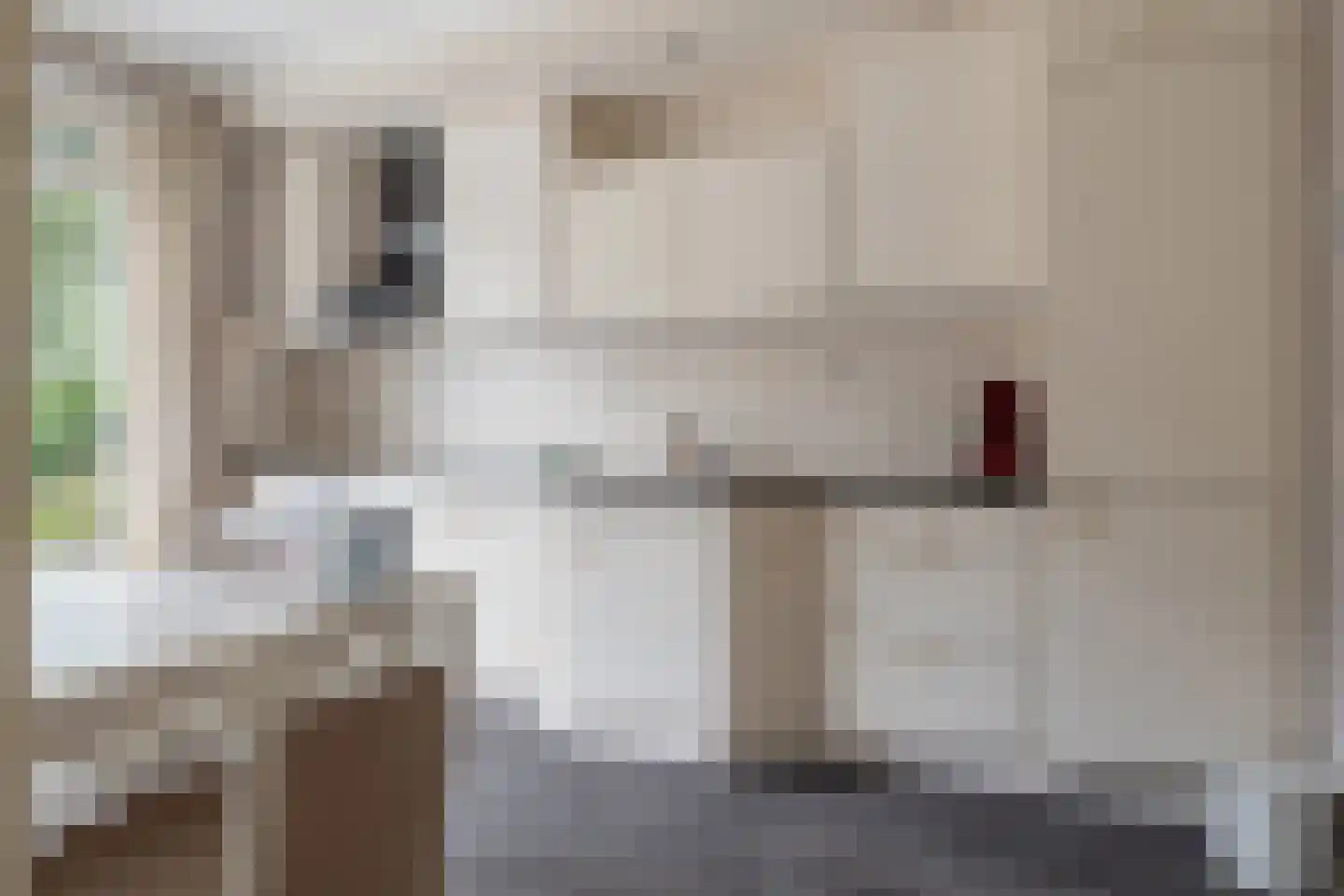 De Toeslag 12 Schoonebeek thumbnail 23