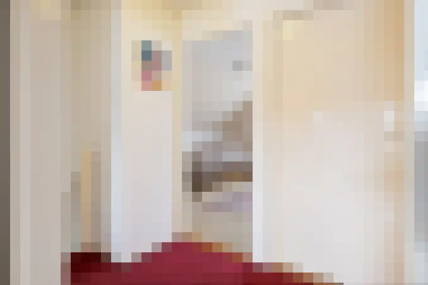 De Toeslag 12 Schoonebeek thumbnail 33