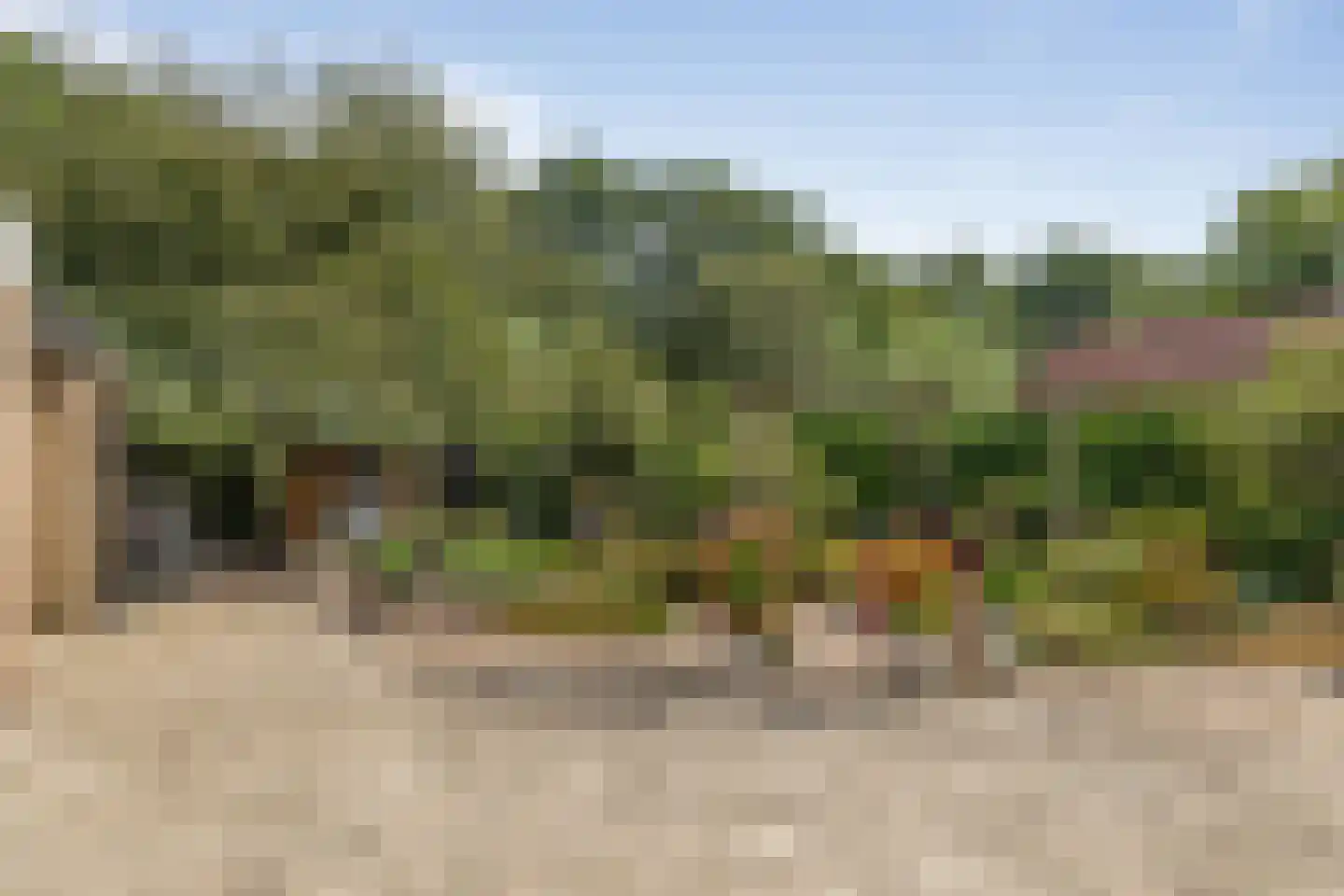 De Toeslag 12 Schoonebeek thumbnail 4