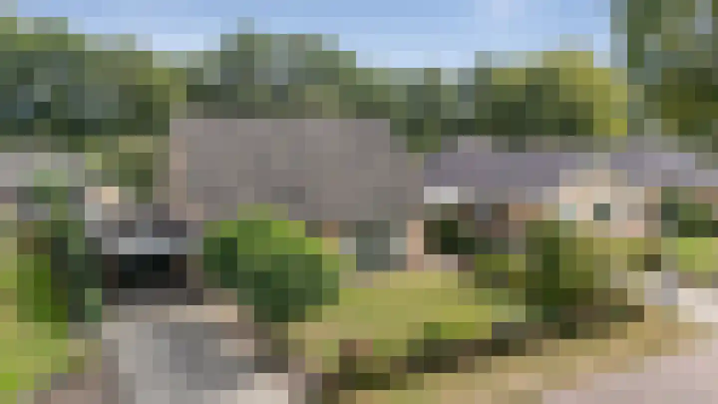 De Toeslag 12 Schoonebeek thumbnail 42