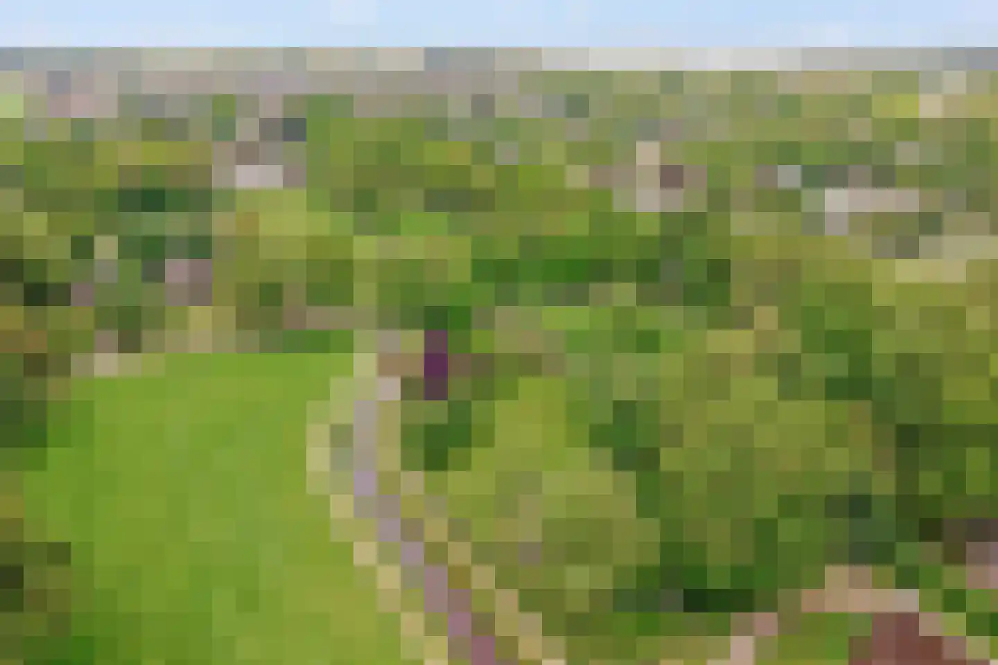 De Toeslag 12 Schoonebeek thumbnail 46