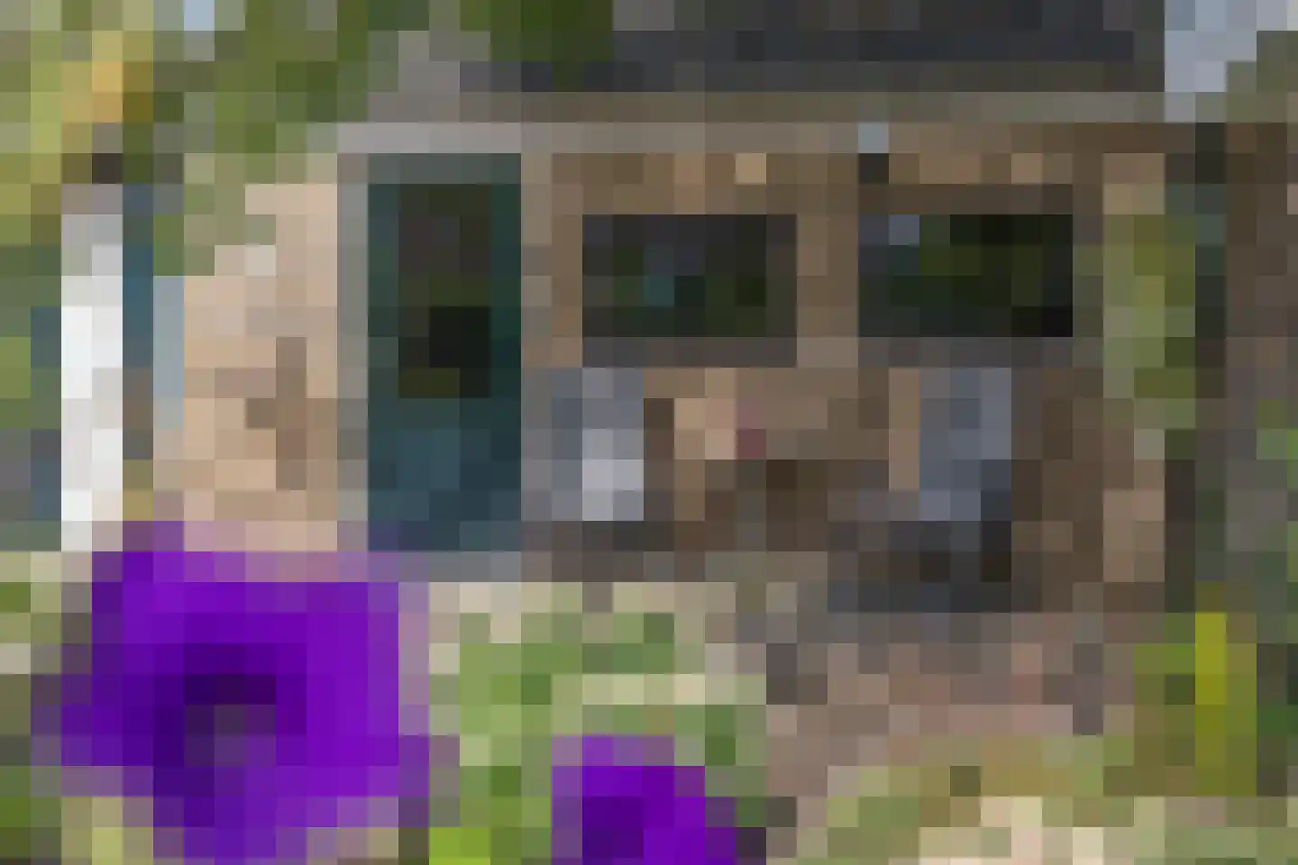 De Toeslag 12 Schoonebeek thumbnail 7