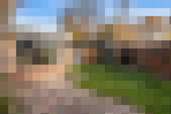 De Toeslag 4 Schoonebeek thumbnail 11