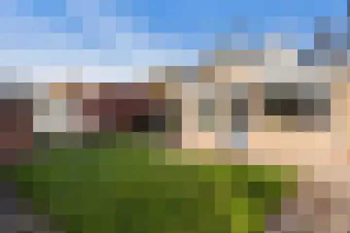 De Toeslag 4 Schoonebeek thumbnail 13