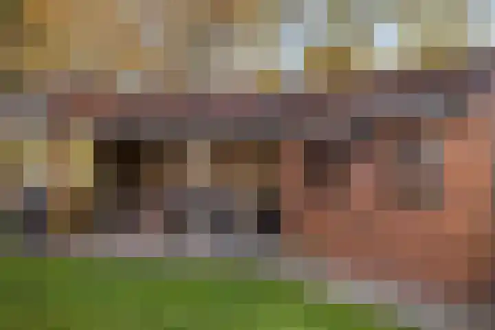 De Toeslag 4 Schoonebeek thumbnail 14