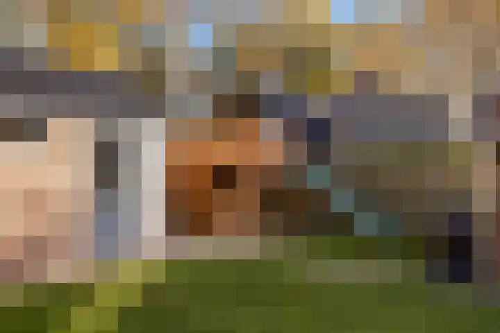 De Toeslag 4 Schoonebeek thumbnail 15