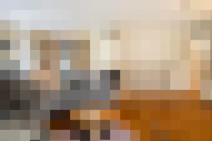 De Toeslag 4 Schoonebeek thumbnail 19