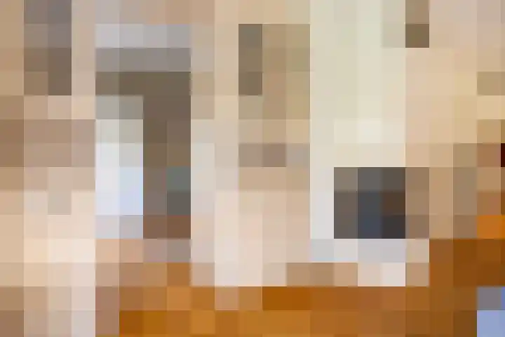 De Toeslag 4 Schoonebeek thumbnail 20