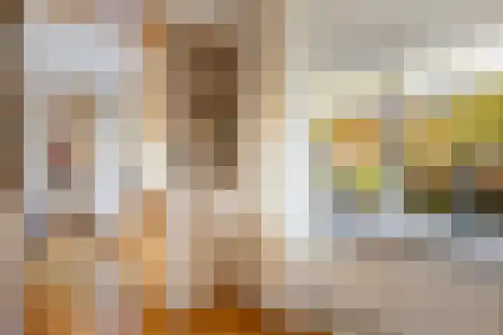 De Toeslag 4 Schoonebeek thumbnail 21