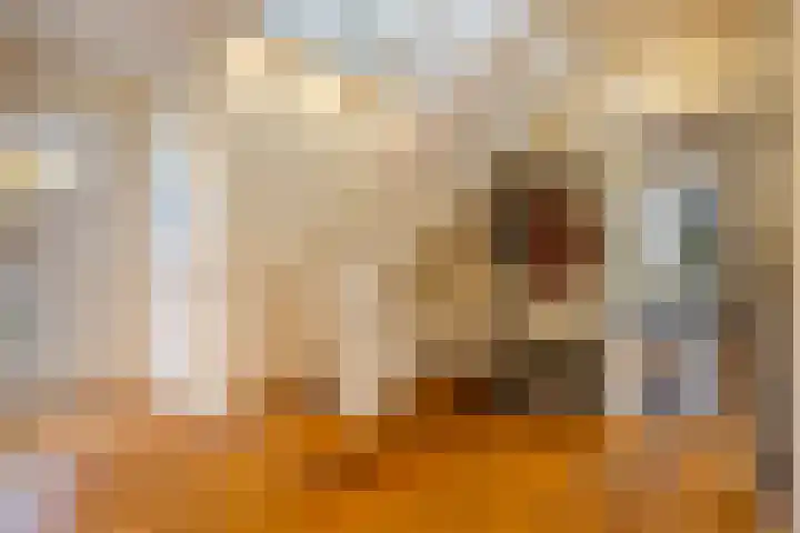 De Toeslag 4 Schoonebeek thumbnail 24